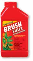 6595_Image Brush Killer Conc.jpg